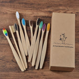 Eco Friendly Wooden Soft Tooth Brush