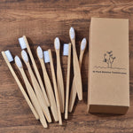 Eco Friendly Wooden Soft Tooth Brush