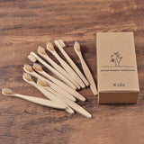 Eco Friendly Wooden Soft Tooth Brush