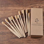 Eco Friendly Wooden Soft Tooth Brush