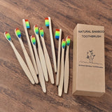 Eco Friendly Wooden Soft Tooth Brush